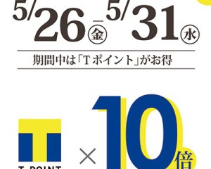 hiroshima-tpoint10_s