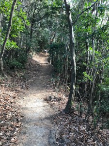 山道　夏