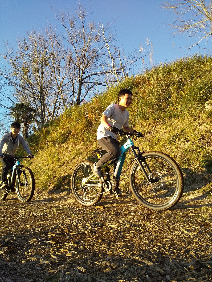 自転車 イオン バイク 電動