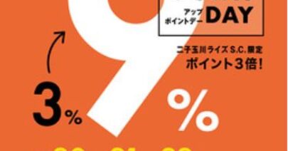 キャプチャ1