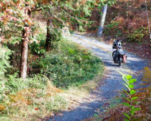 【e‐bike×アウトドア】自転車ソロキャンプにおすすめe-bikeのご紹介！