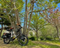 【e-bike×カスタム】Cannondale Coｍpact Neo(コンパクトネオ)アウトドアパッキングカスタム