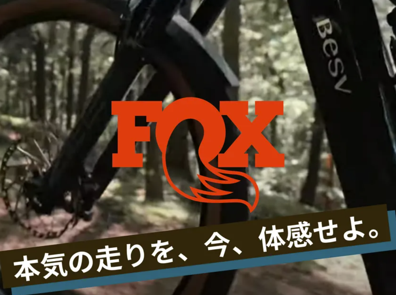 土日限定出品】CALLE フルサス 電動アシストマウンテンバイク 土日限定